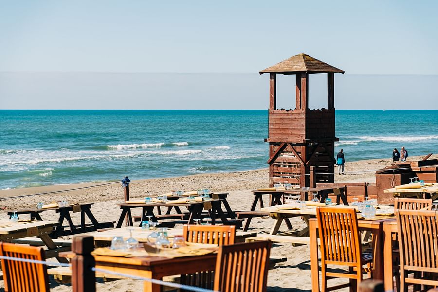 Lifeguard chair overseeing a sunny beach