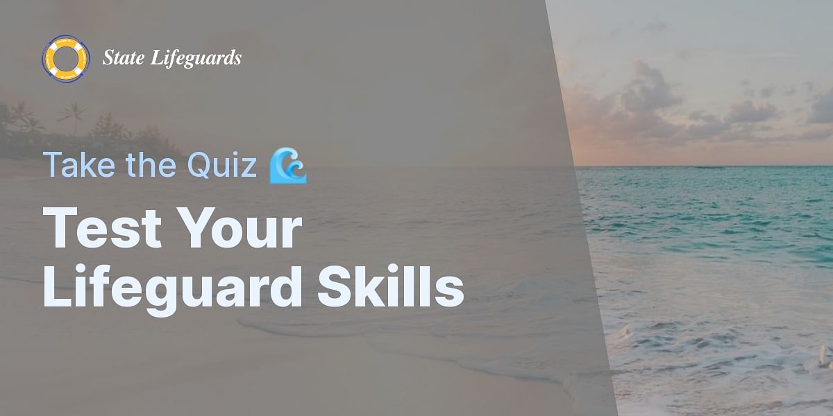 Lifeguard Qualifications and Experience Quiz State Lifeguards
