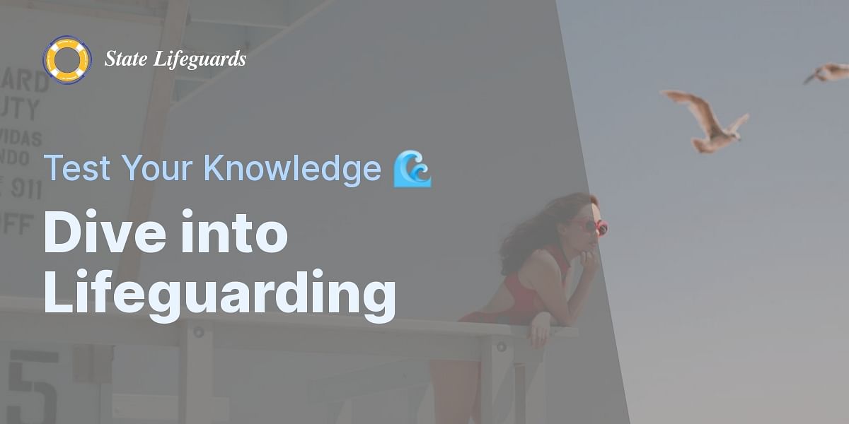 Lifeguard Job Duties, Gear, Challenges, Salary, and Test State Lifeguards