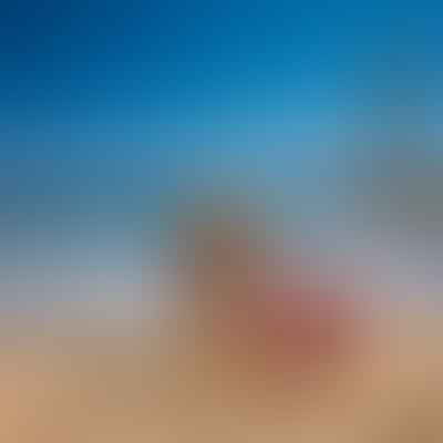 Can a Lifeguard Certification from Another Country be Transferred to the U.S. (California)?