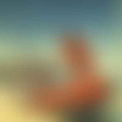 What are the responsibilities of a lifeguard in the coast guard?