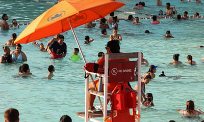 What is the Total Number of Lifeguards in the United States?
